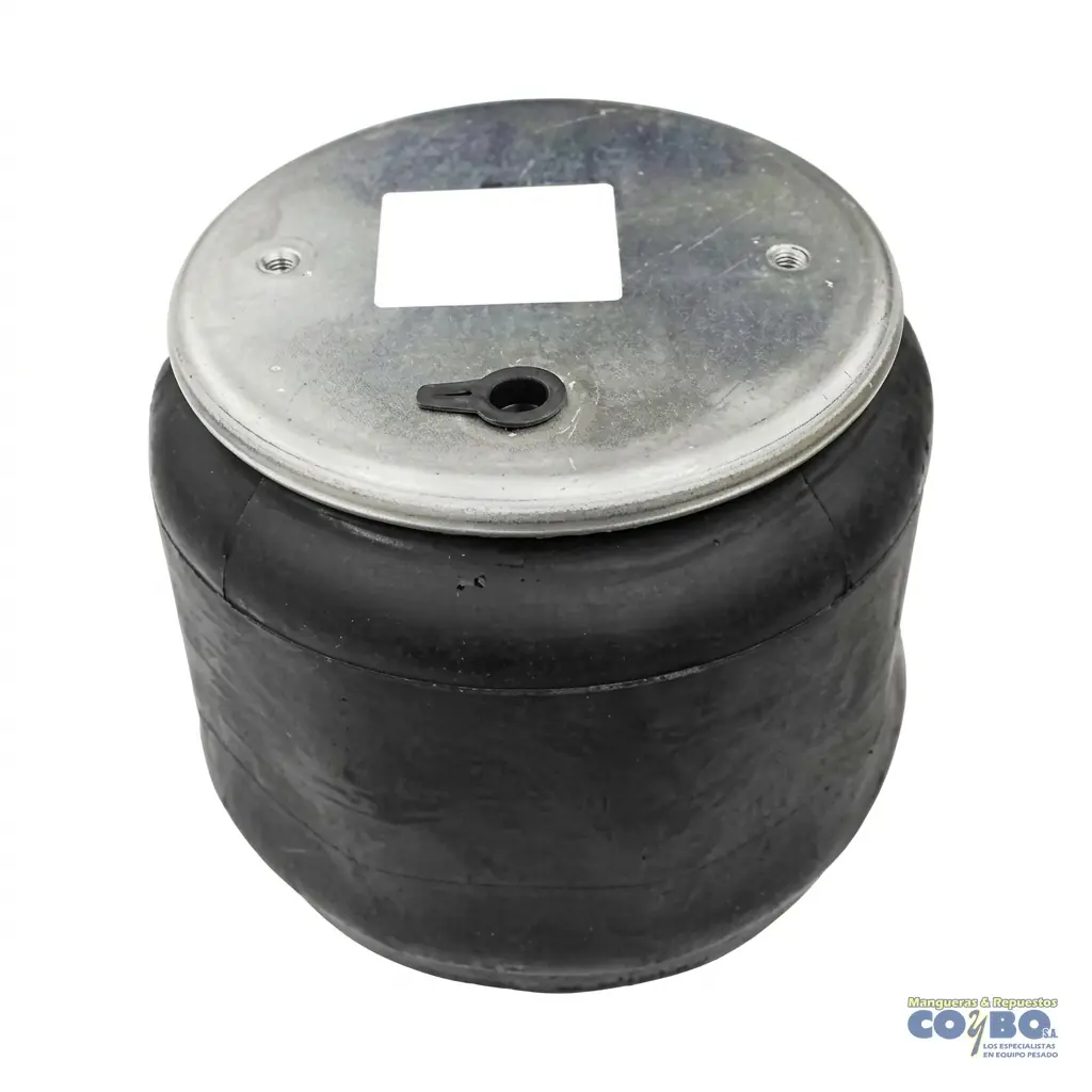 BOLSA SUSPENSION PETERBILT RESORTE 2H EF
