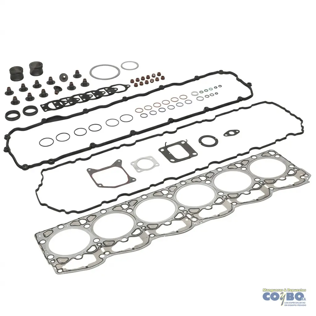 SET DESCARB MOTOR PACCARD MX13 KW-PET - Imagen 1