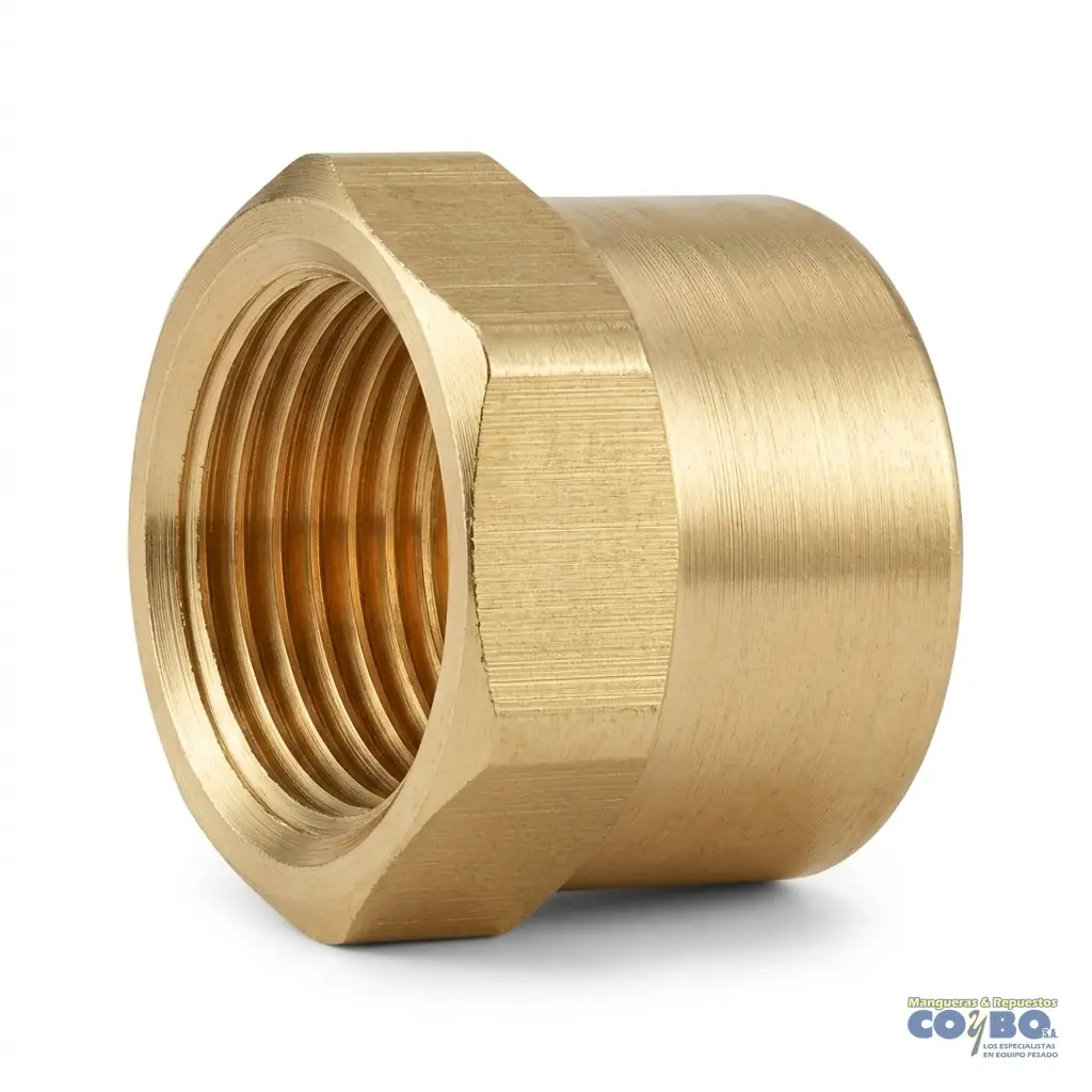 TAPON H NPT 1/8 BRONCE 108B - Imagen 1