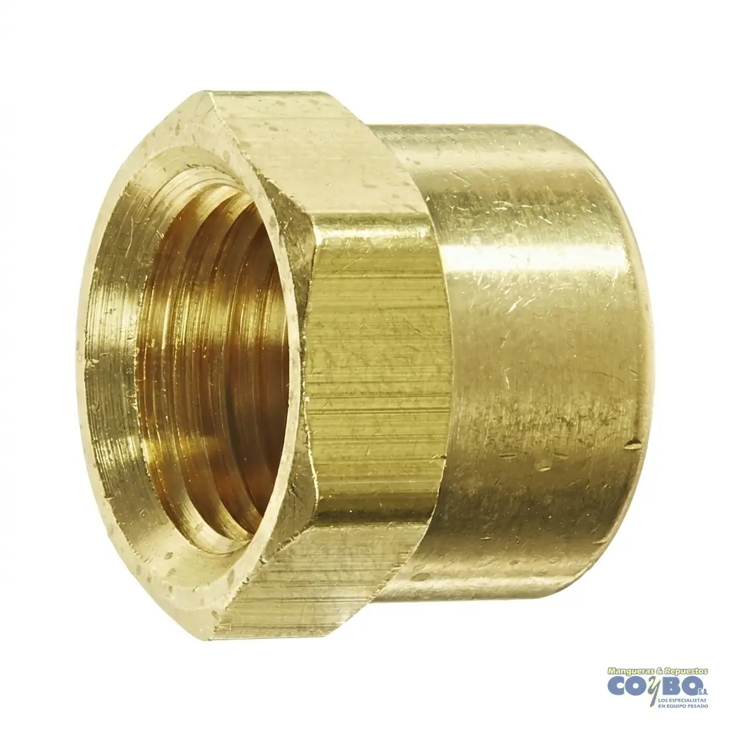 TAPON H NPT 1/4 BRONCE 108B - Imagen 1