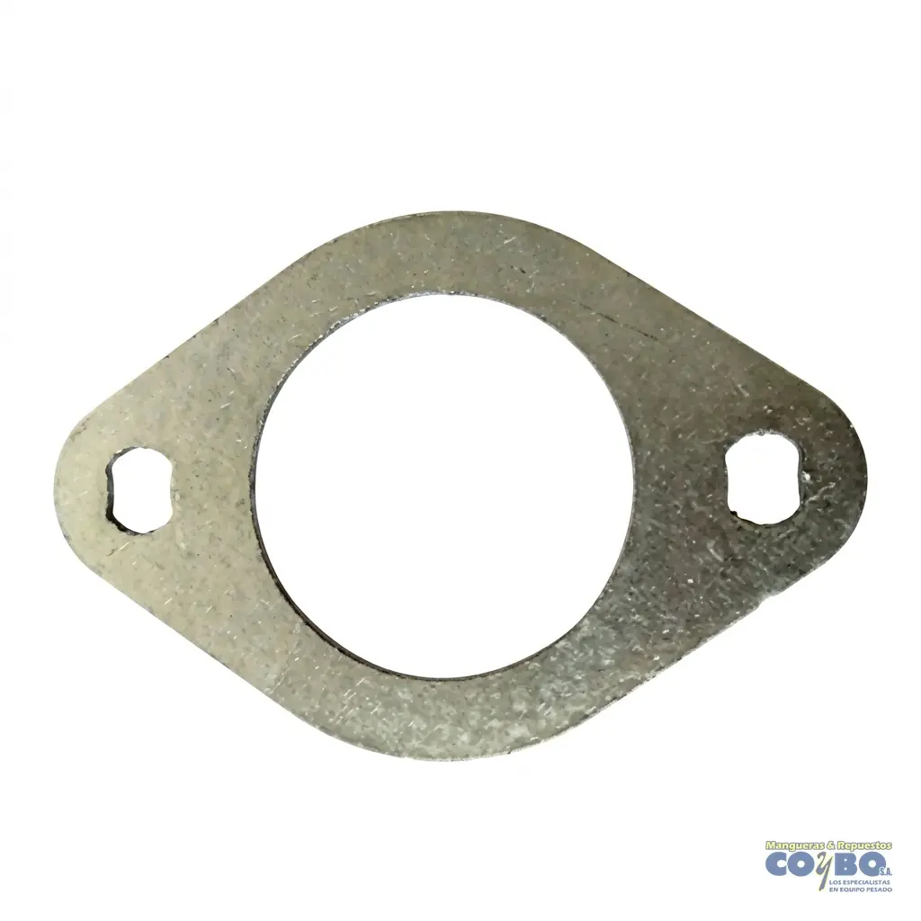 ORIG EMP MANIF ESCAP CUMM L10 M11 IS - Imagen 1