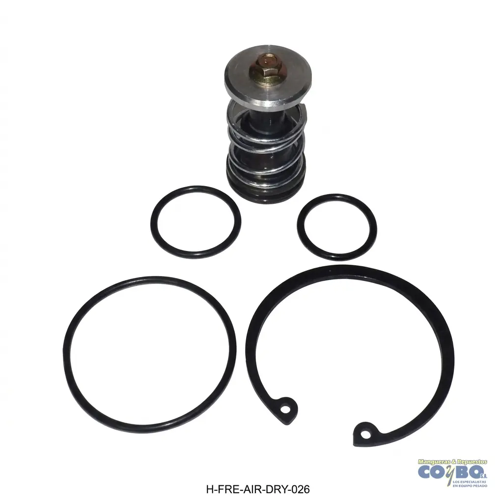 KIT MENOR VALVULA PURGA AD/IP/IS - Imagen 1