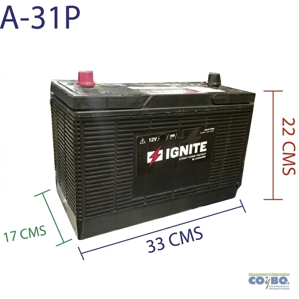 BATERIA 31 C/CALCIO POSTE - Imagen 1