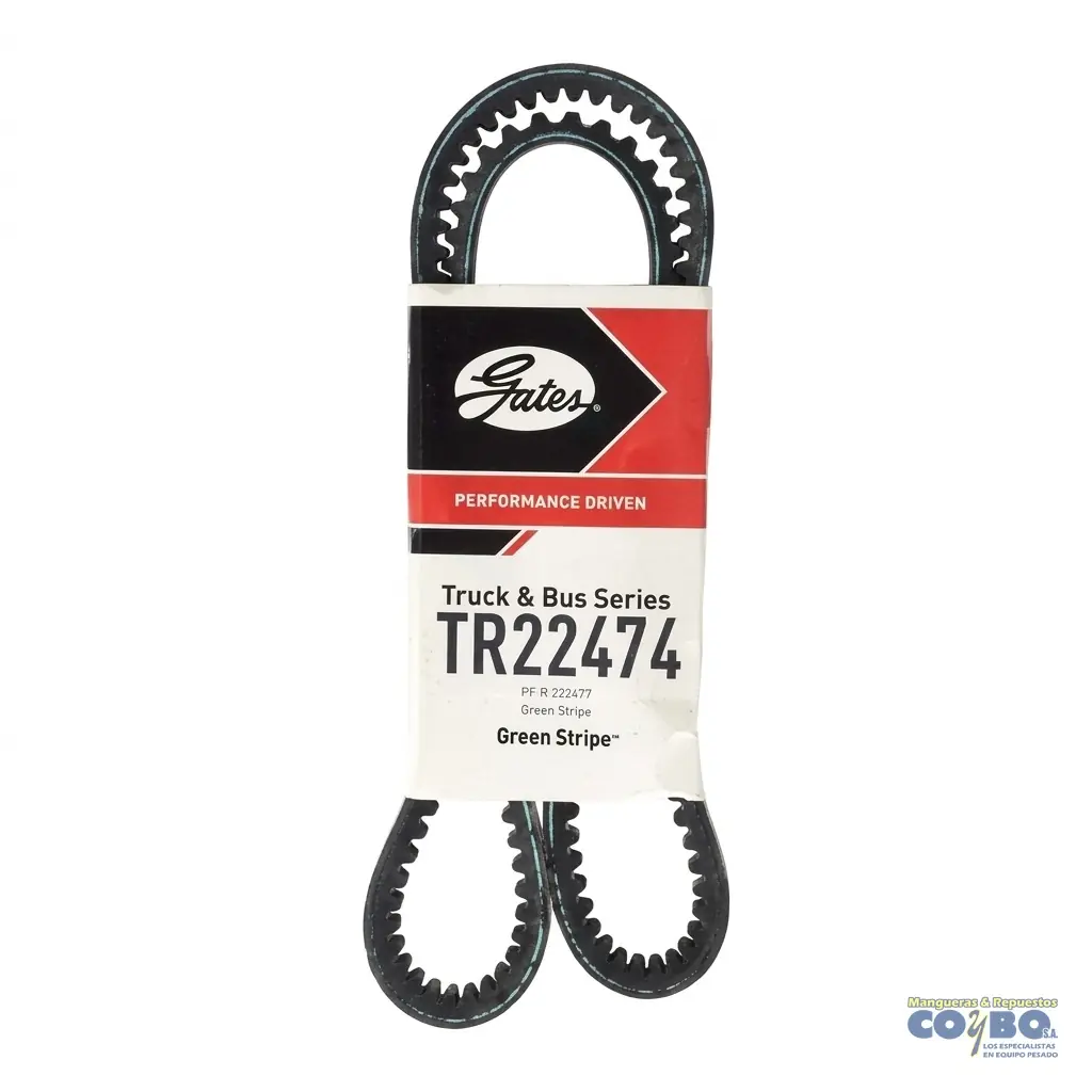 FAJA AUTOMOTRIZ GATES TR22474 - Imagen 1