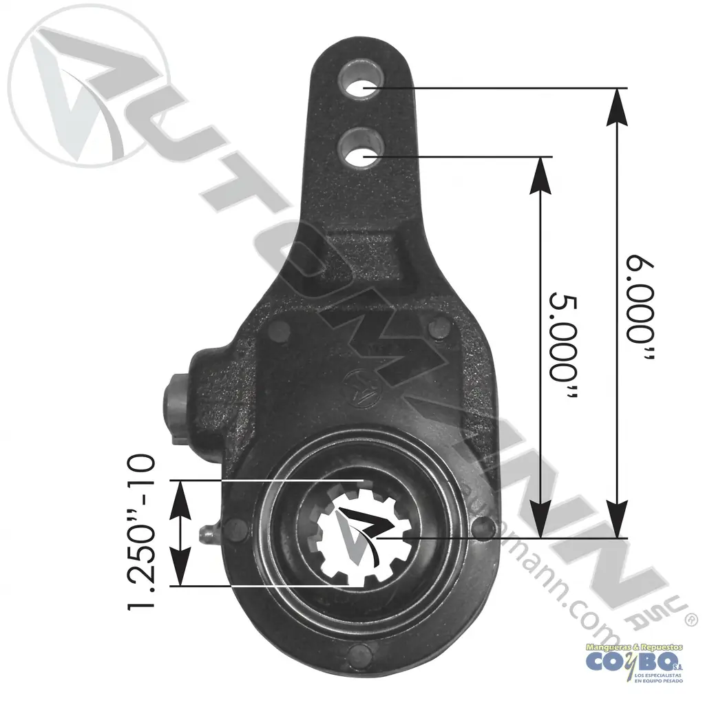 RASH 1-1/4 10D 2AJ 5" 6"