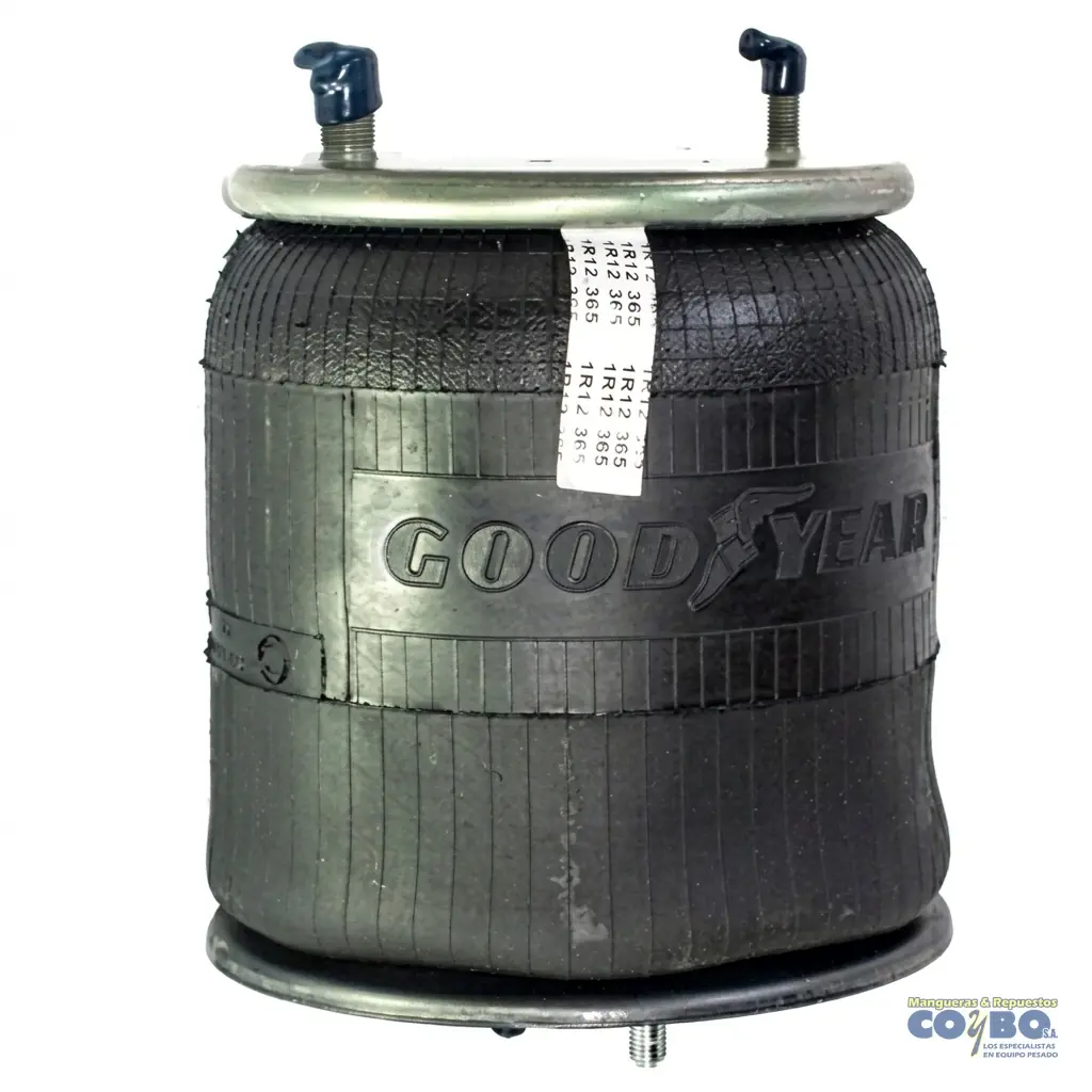 BOLSA SUSPENSION MACK CH - Imagen 1
