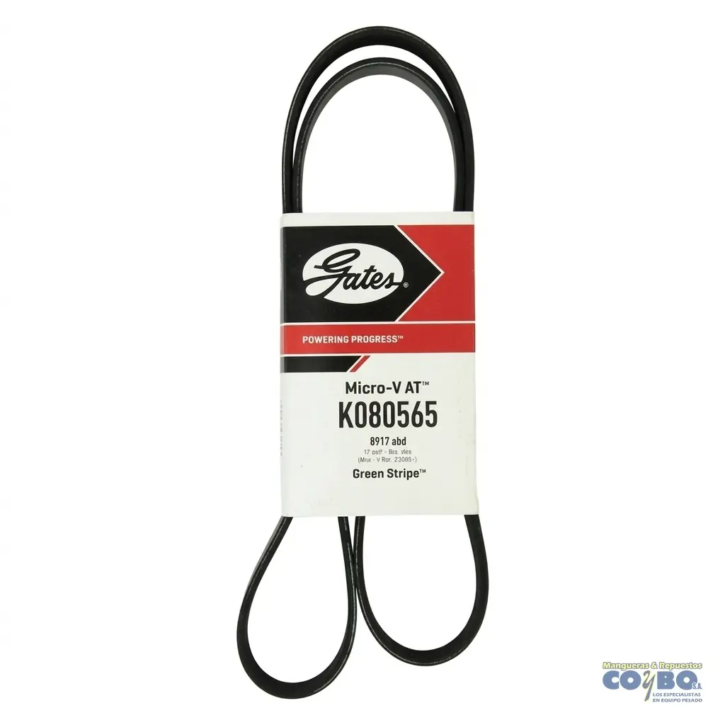 FAJA MULTIPLE COLUMBIA CORONADO - Imagen 1