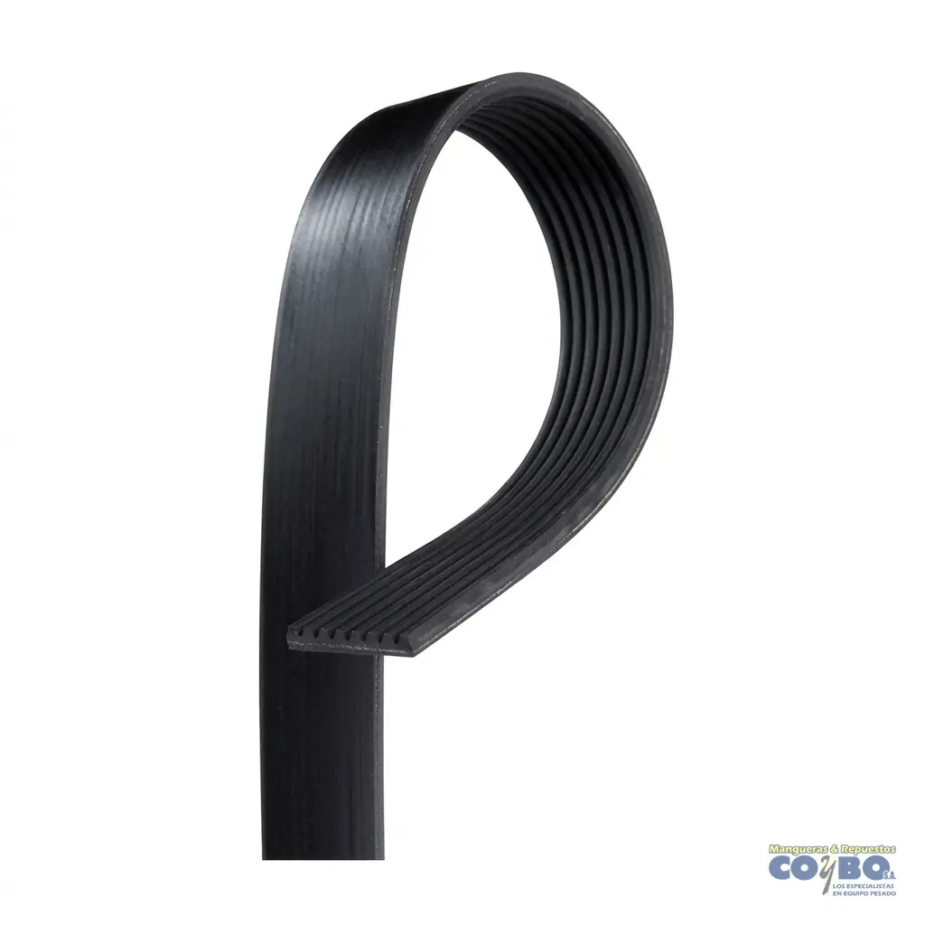 FAJA  MULTIPLE 8PK1910 - Imagen 1