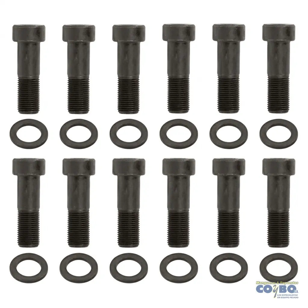 KIT TORNILLOS CORONA EXCEL - Imagen 1