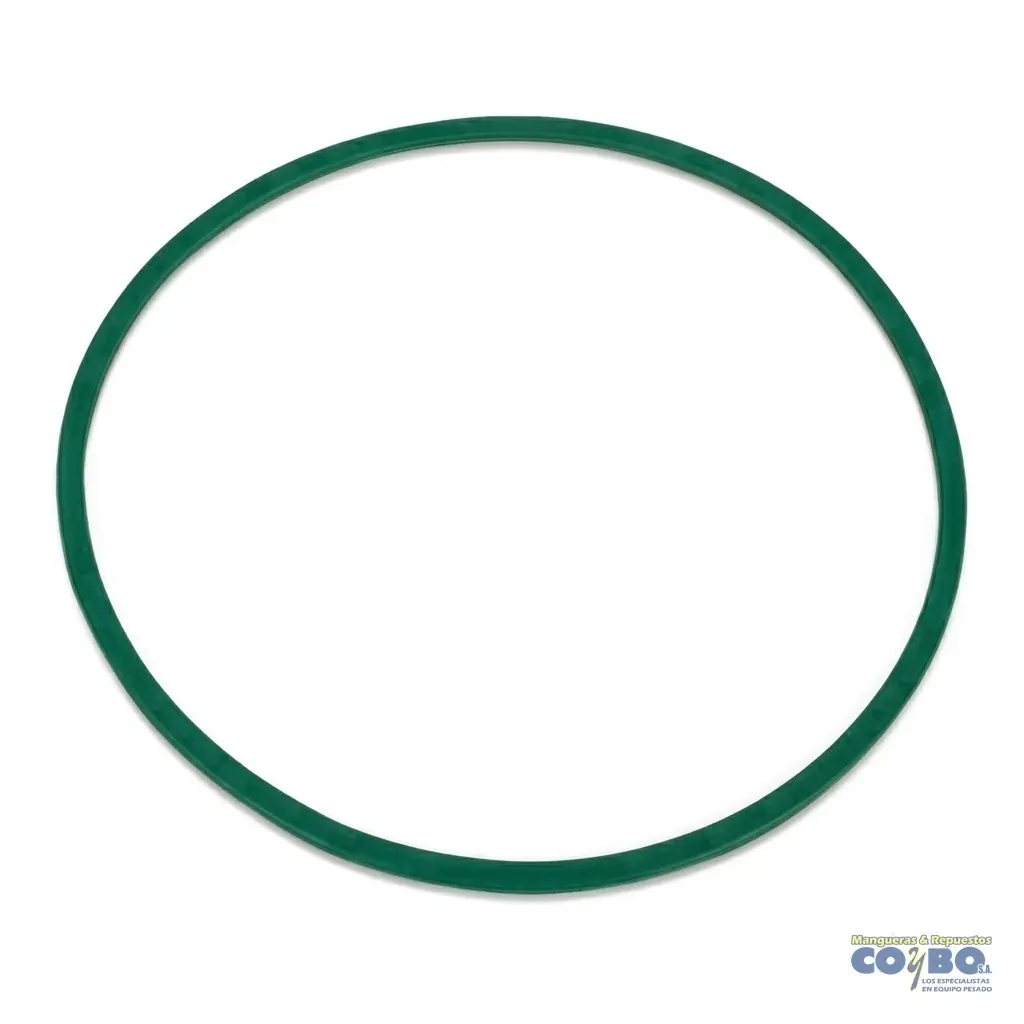 ORING MONTAGE BOMBA AGUA DETROIT S60 - Imagen 1